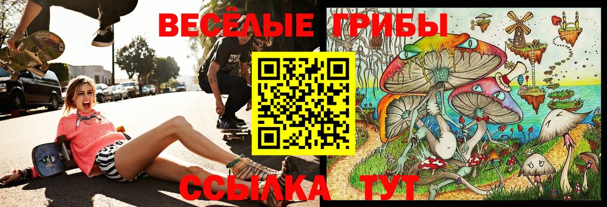 Псилоцибиновые грибы ЛСД Кохма