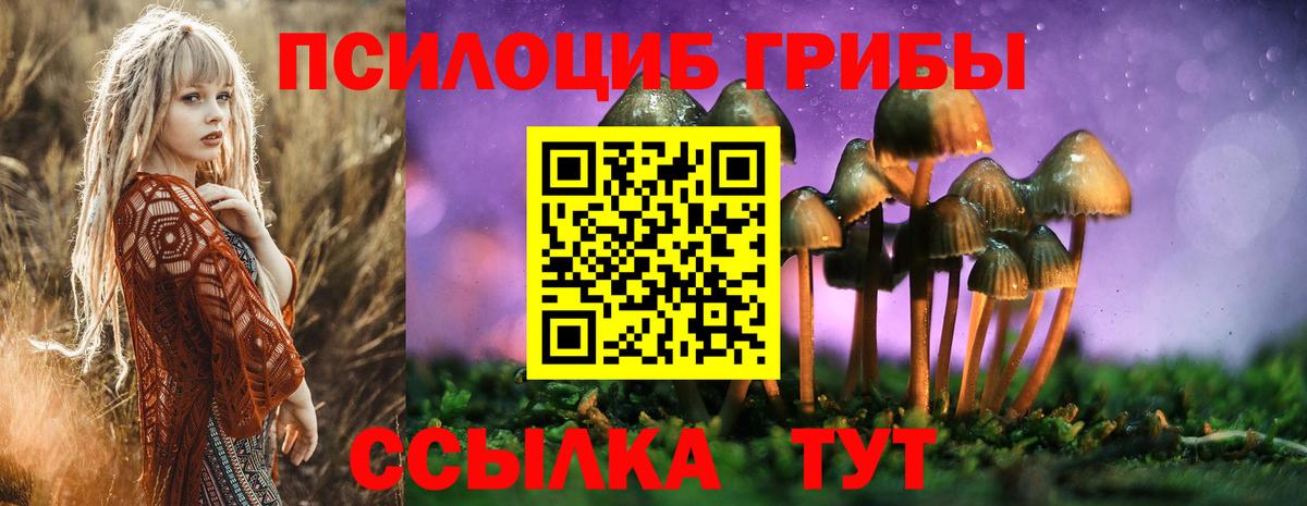 Псилоцибиновые грибы GOLDEN TEACHER  Вход с VPN  Кохма 